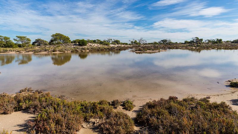 Restringen el aparcamiento en las playas de San Pedro del Pinatar