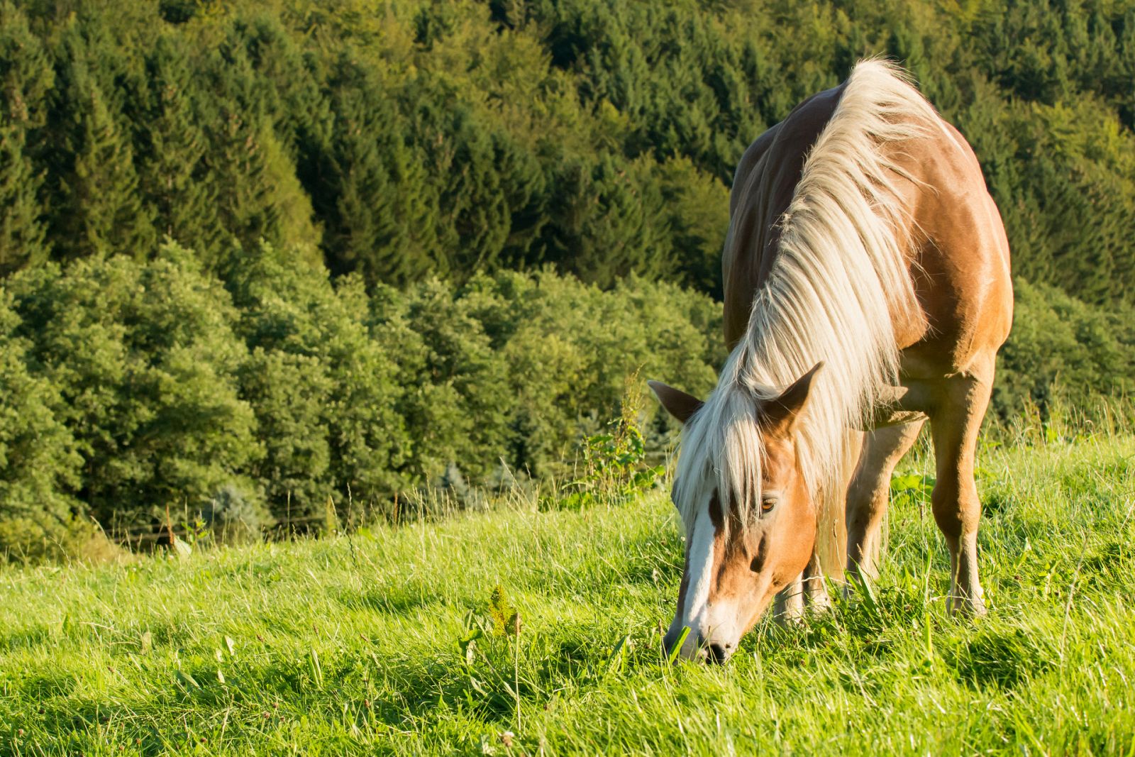 Aquí la Tierra - 16/07/20 - ver ahora