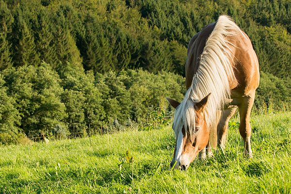 Aquí la Tierra - Aquí la Tierra - 16/07/20