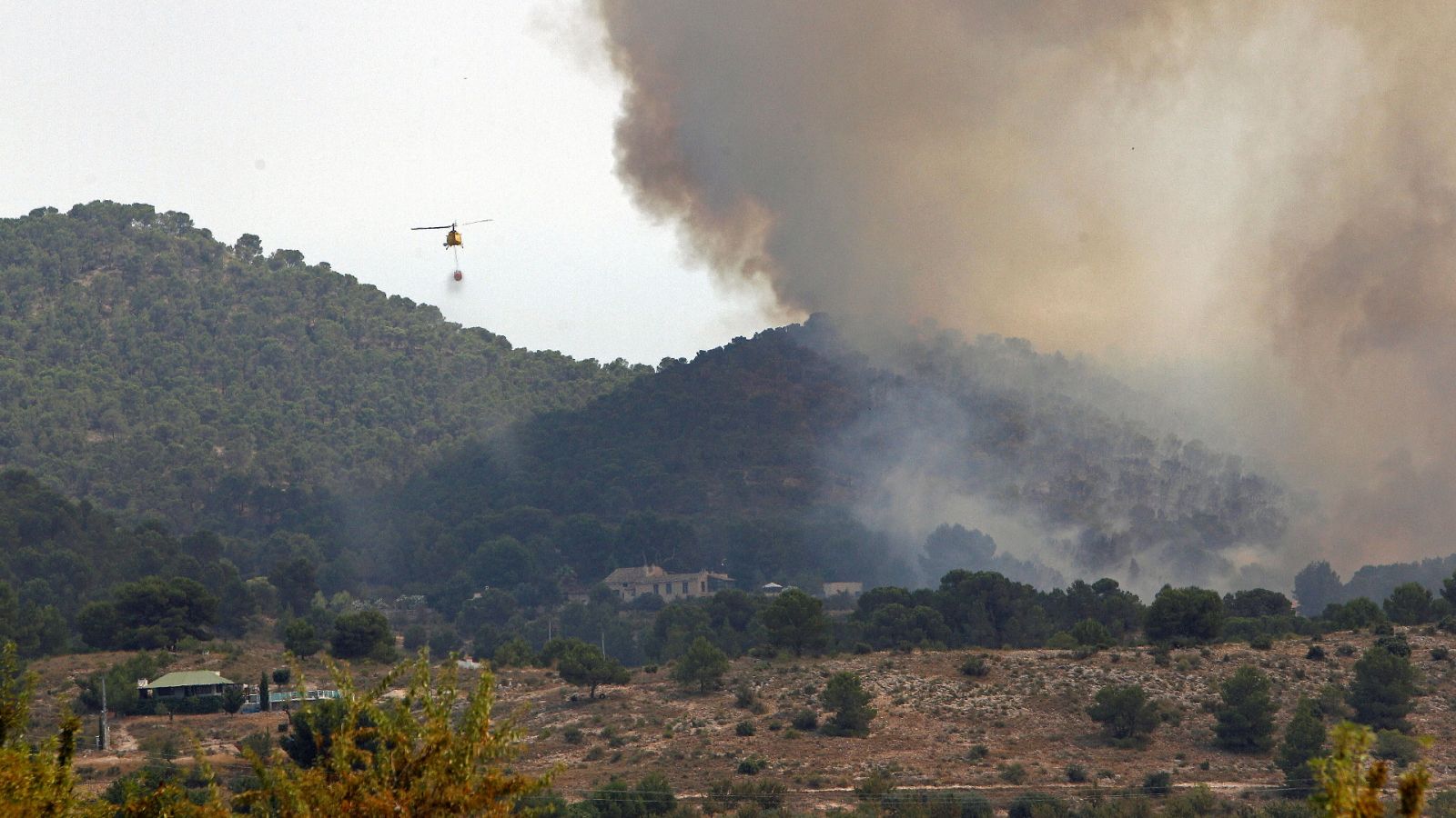 L'Informatiu - Comunitat Valenciana - 17/07/20 - RTVE.es