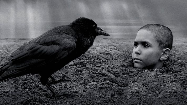 Días de cine - 'El pájaro pintado'