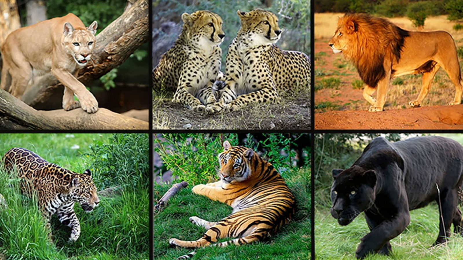 Saber y ganar - 17/07/20 - ver ahora