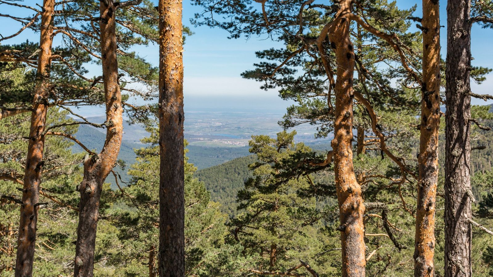 La Sierra de Madrid llena de turismo