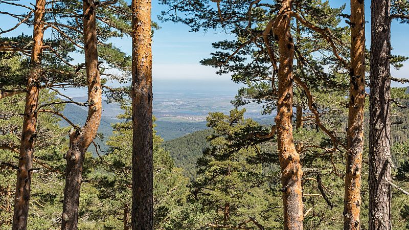 España Directo - Vacaciones en la Sierra de Madrid