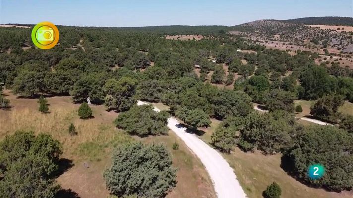 Agrosfera - En Clave Rural Moral de Hornuez