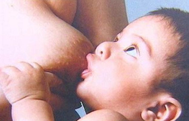 España Directo - Lo mejor de la lactancia