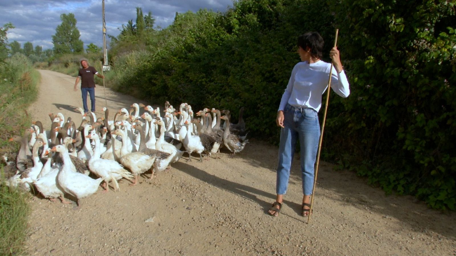 ¡De oca en oca y pastoreo porque me toca! - RTVE.es