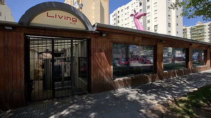 Informativo 24h - Sierra: "Más del 20 % de los brotes son mixtos"