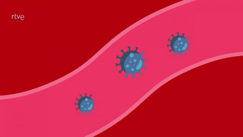 ¿Qué tipos de vacunas contra el coronavirus se están desarrollando?
