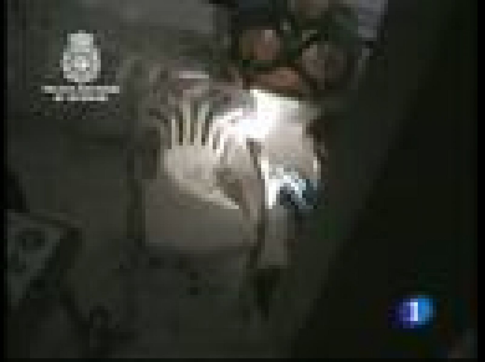 Detenidas seis personas por secuestrar en Madrid a un joven de 23 años | Ver