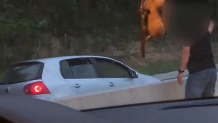 Telediario 1 - Circula 10 kilómetros en sentido contrario por despiste