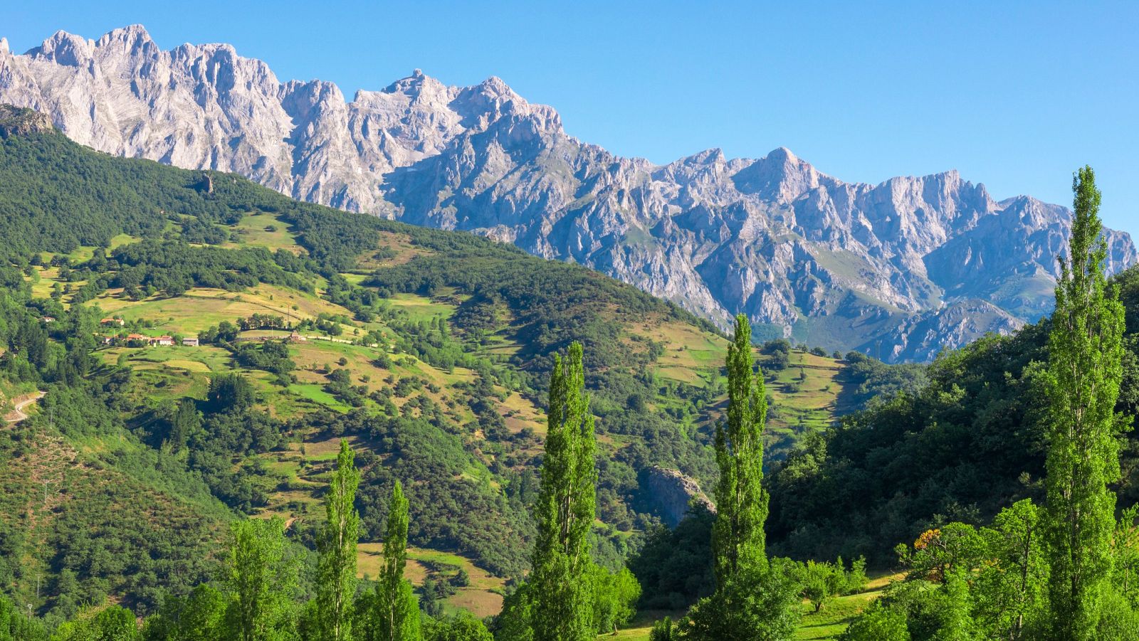 España Directo - 23/07/20 - ver ahora