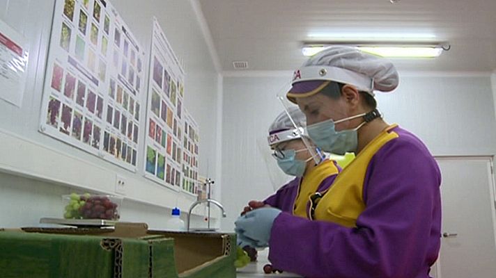 Agrosfera - Agrosfera - 25/07/20