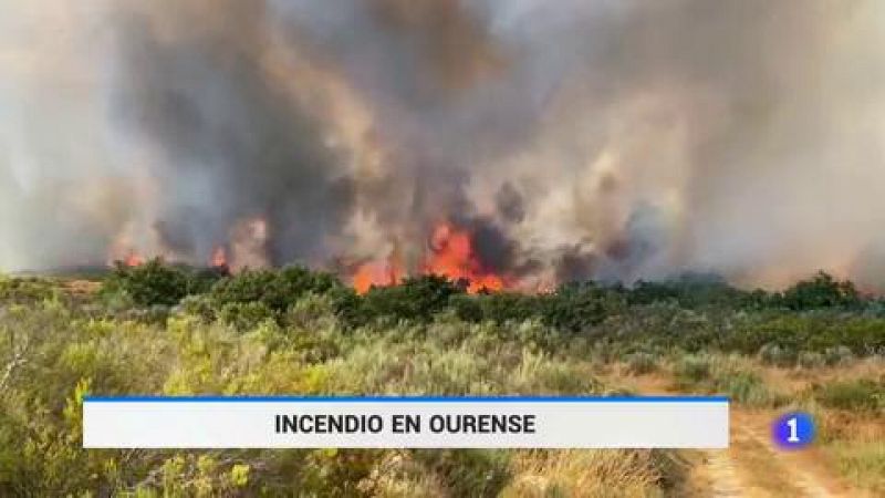 Más de 450 hectáreas han ardido ya en Monterrei (Ourense)