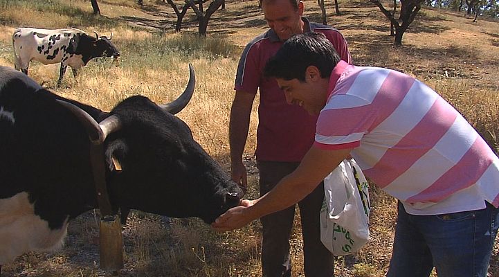 Descubrimos la Reserva de la Biosfera en Sevilla