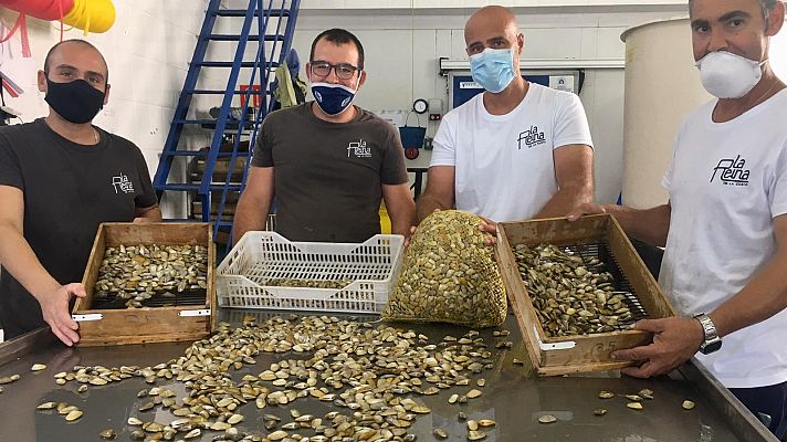 A la pesca de coquinas, uno de los de los mayores manjares d