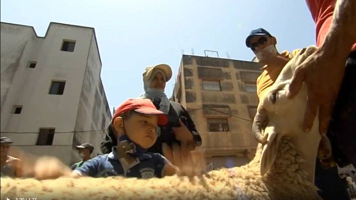 Telediario 1 - El coronavirus también desluce la Fiesta del Cordero en Marruecos