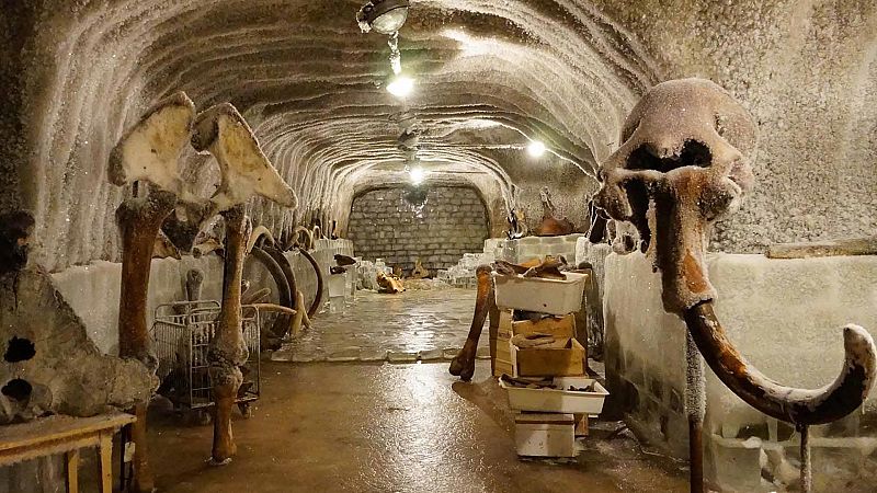 Altamira, el origen del arte Somos cine - Altamira, el origen del arte - ver ahora