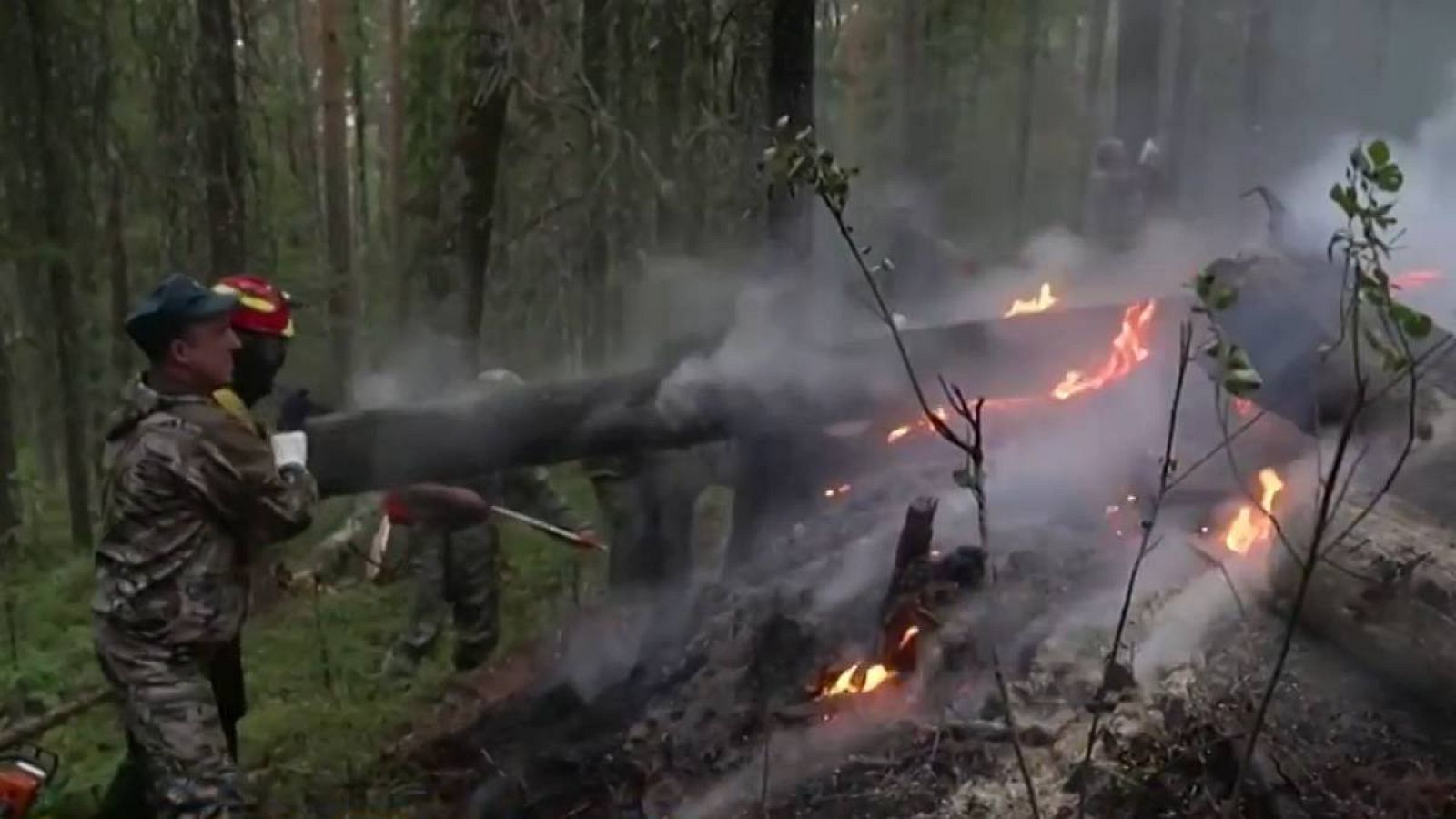 Rusia | Una insólita oleada de incendios agrava la amenaza que pesa sobre los bosques de Siberia