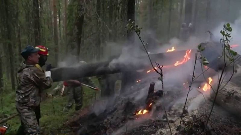 Una insólita oleada de incendios agrava la amenaza que pesa sobre los bosques de Siberia