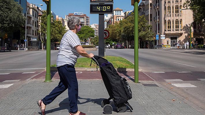 Sombra, agua... y mucha paciencia para soportar el calor extremo