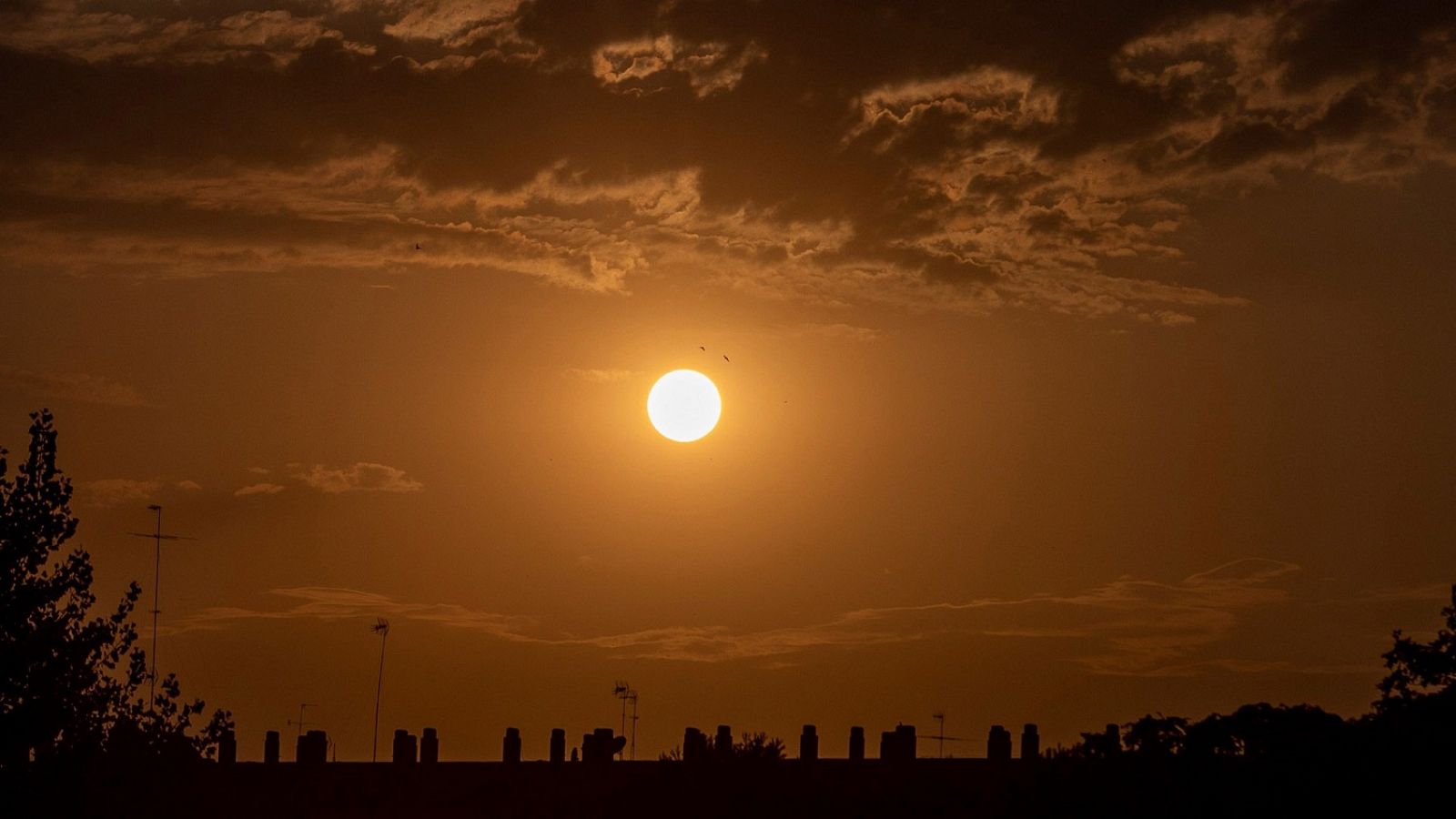 Telediario 1 en cuatro minutos - 30/07/20 - Ver ahora