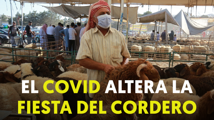 Modo Digital - El COVID altera la Fiesta del Cordero