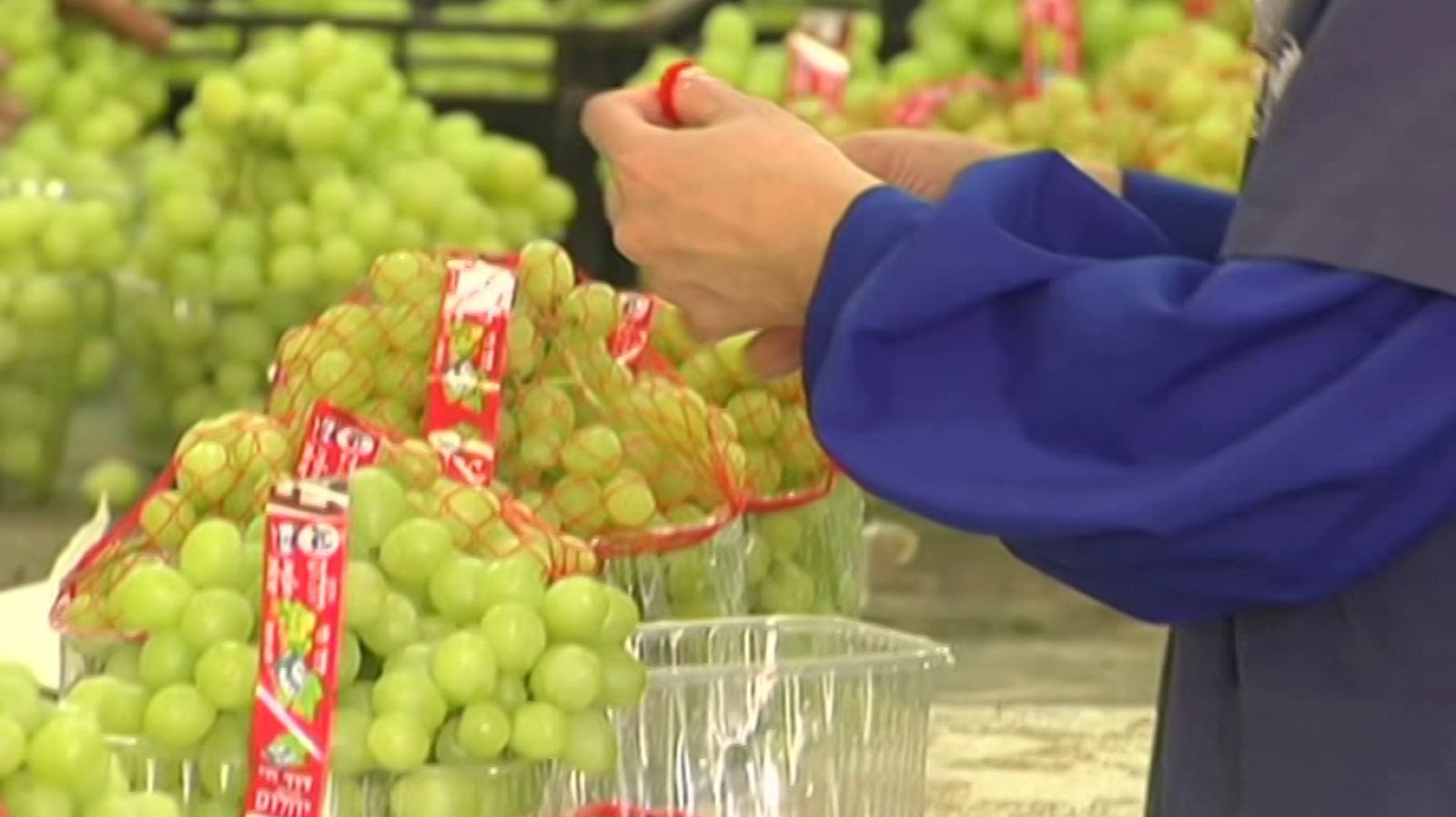 Agrosfera - 01/08/20 - ver ahora