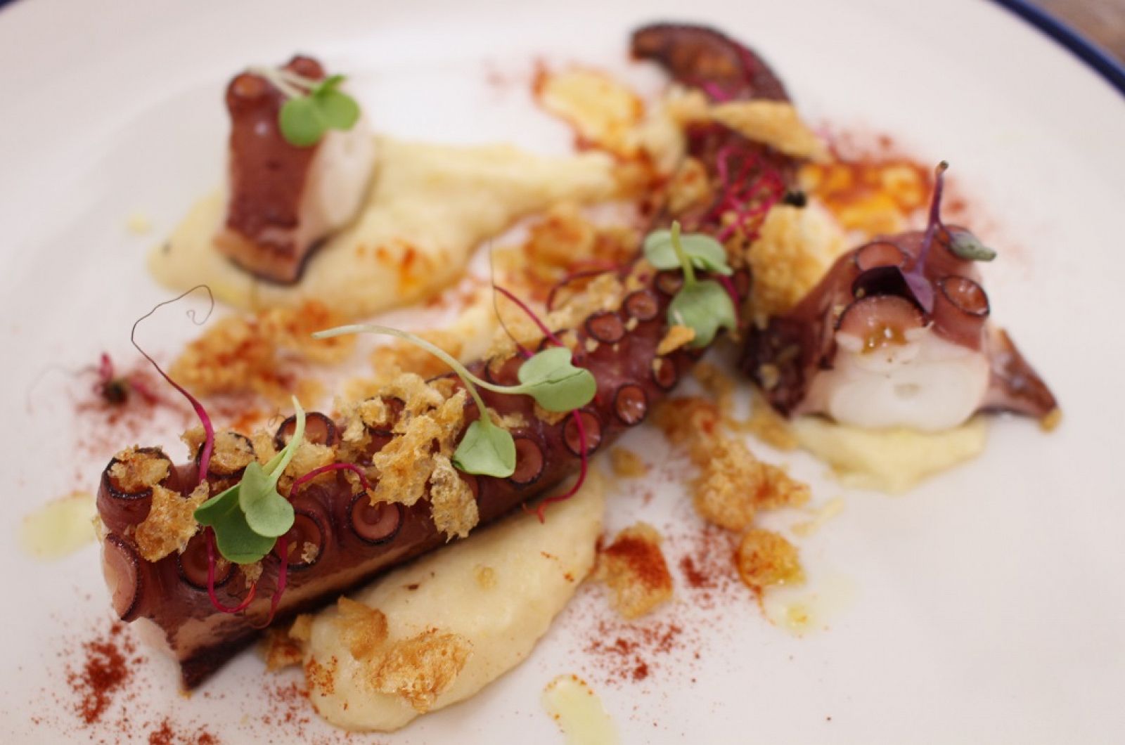 Pulpo cocido con puré de chirivía | Ver