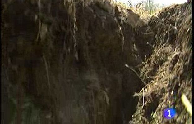 Ciencia y tecnología en Rtve.es - Sequía en las Tablas de Daimiel