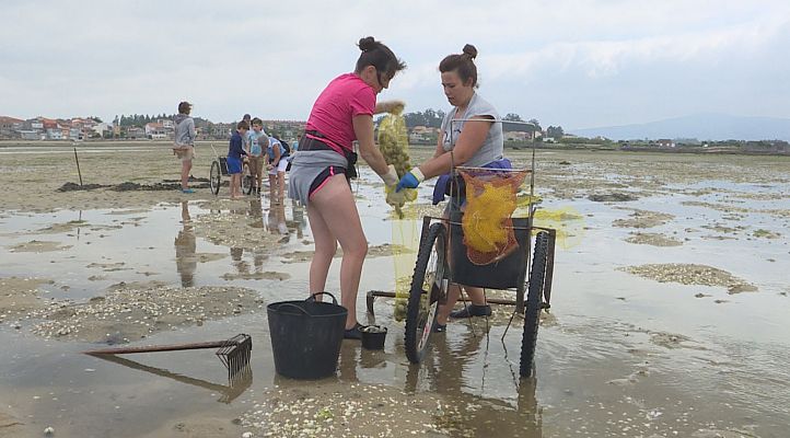 Comando Actualidad - Cambados, un destino que esconde la historia del marisco