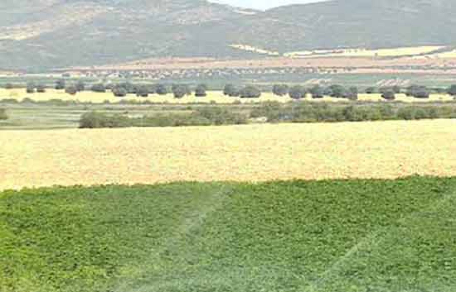 Informe Semanal: La última oportunidad de las tablas