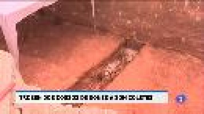 Informatiu Balear - Informatiu Balear - 05/08/20