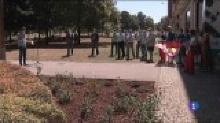 Panorama Regional - Panorama Regional 2 - 05/08/20