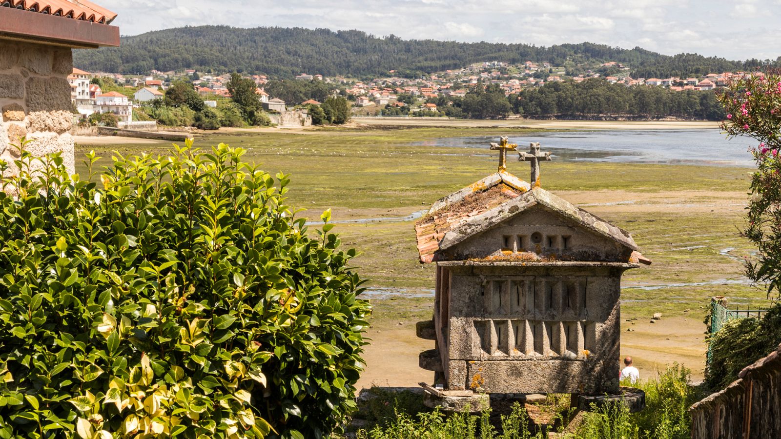Poco nuboso o despejado en la mayor parte del país - Ver ahora