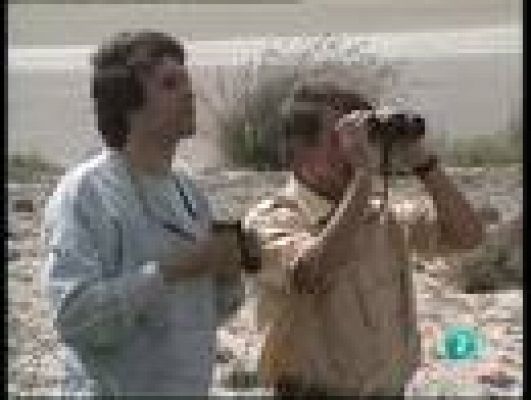 Fauna callejera - Ciudad parada y fonda