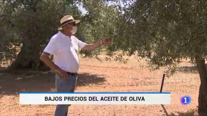 Telediario 1 - Los olivareros piden "precios justos" para el aceite de oliva