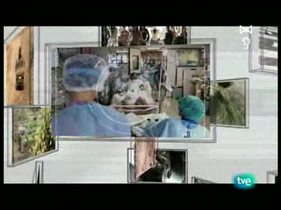 Animales muy humanos