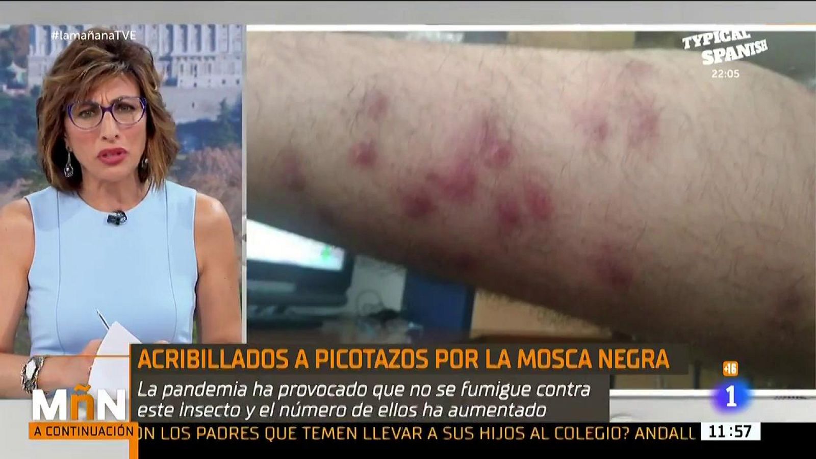 La Mañana -  La mosca negra amenaza más que nunca tras la pandemia