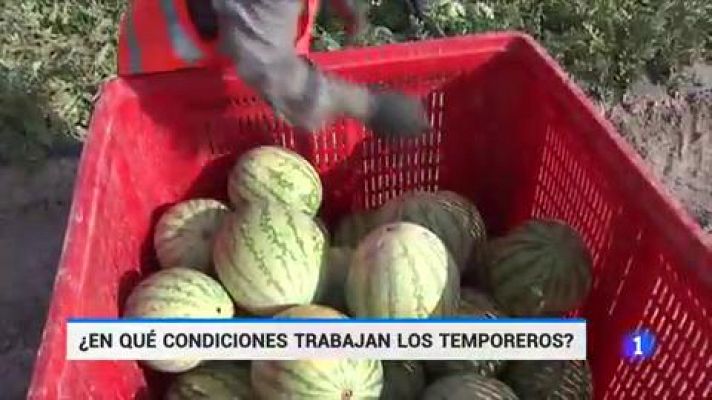 La muerte de un temporero en Lorca, tras sufrir un golpe de calor, reabre la polémica sobre las condiciones laborales de estos trabajadores