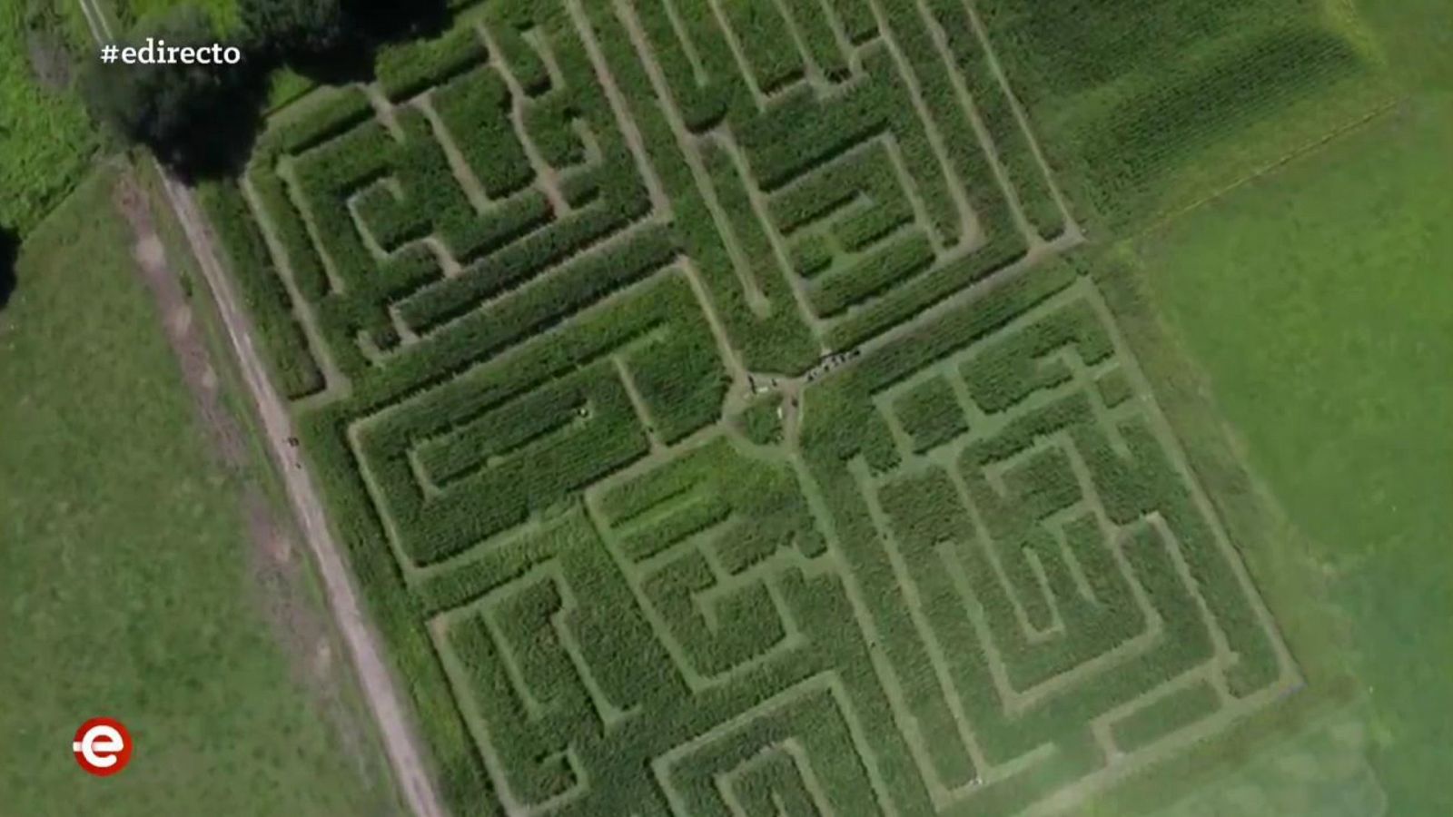 España Directo - 12/08/20 - ver ahora