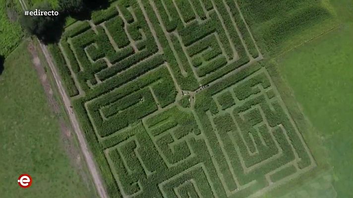 España Directo - España Directo - 12/08/20