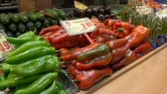 Aquí la Tierra - ¿Cómo trabajan nuestros cinco sentidos con la alimentación?