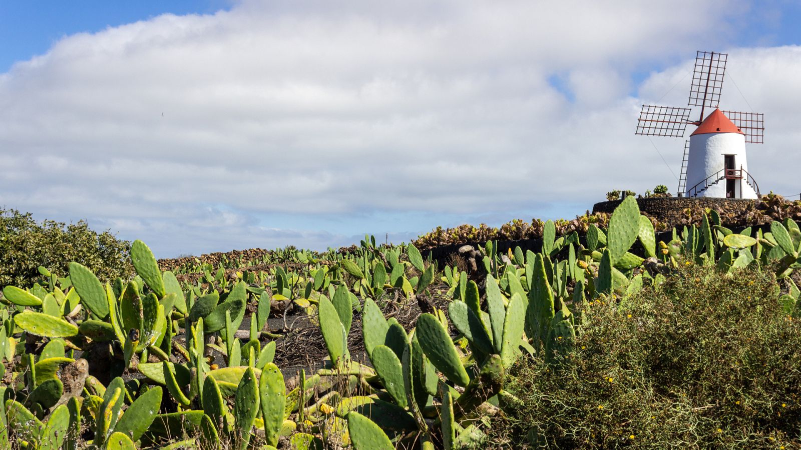 En Canarias, intervalos nubosos en el norte de las islas y poco nuboso en el resto - Ver ahora