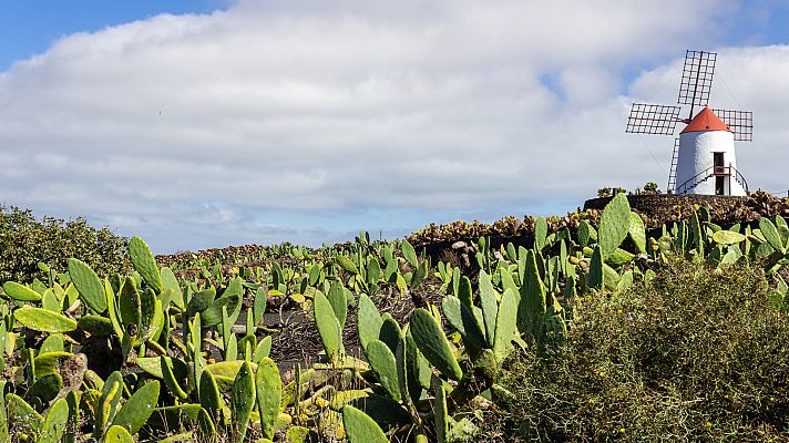 El tiempo - En Canarias, intervalos nubosos en el norte de las islas y poco nuboso en el resto