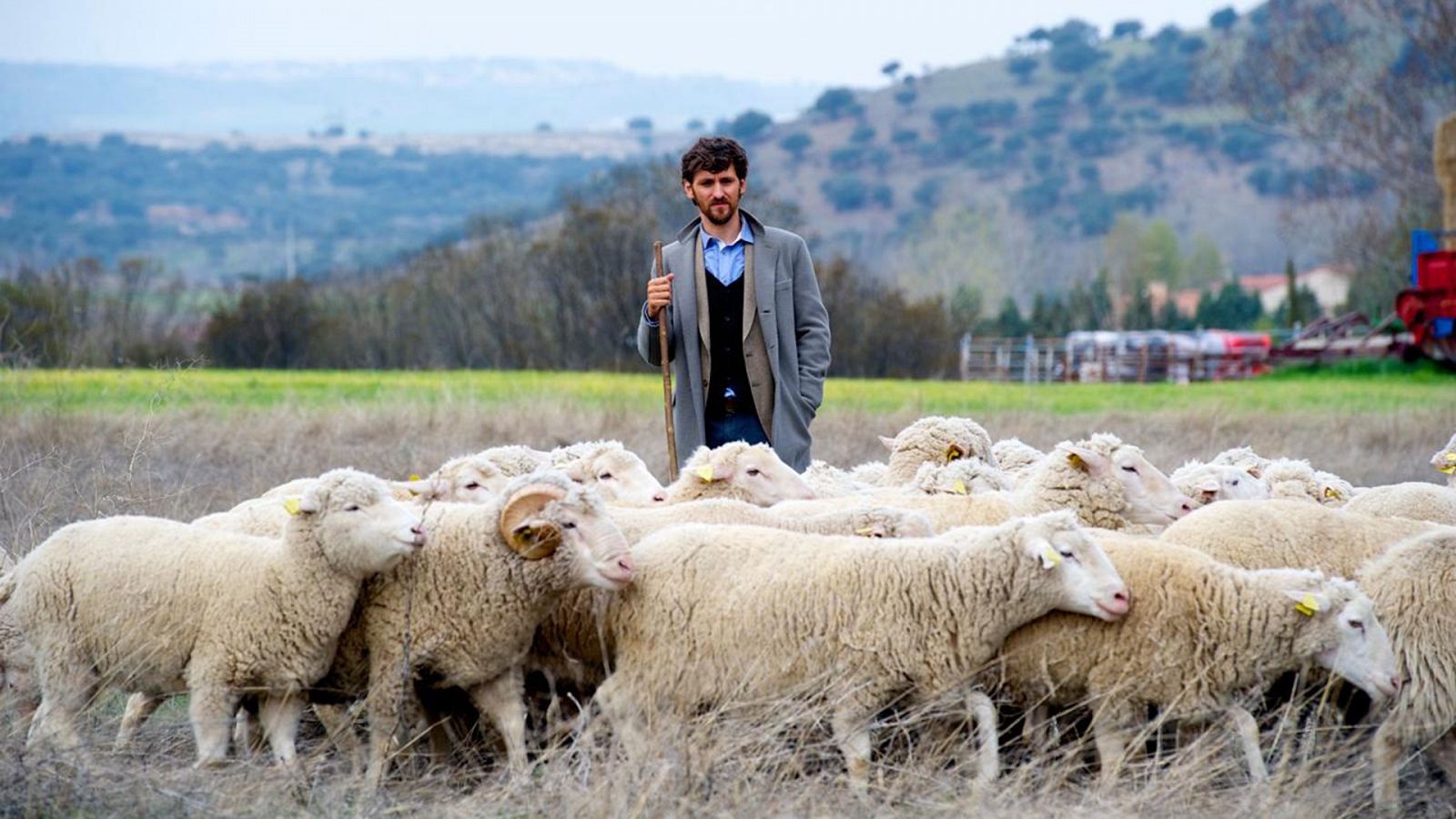 Las ovejas no pierden el tren: Cine español online, en Somos Cine | RTVE.es