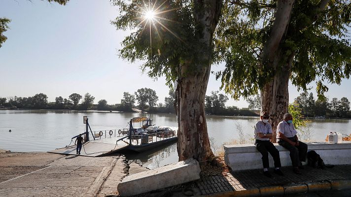 Once de los 19 enfermos de meningoencefalitis dan positivo al virus del Nilo