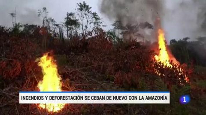 Telediario 1 - Los incendios vuelven a arrasar la Amazonía mientras Bolsonaro lo niega