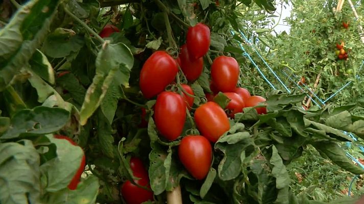 Aquí la Tierra - Aquí la Tierra - 13/08/20