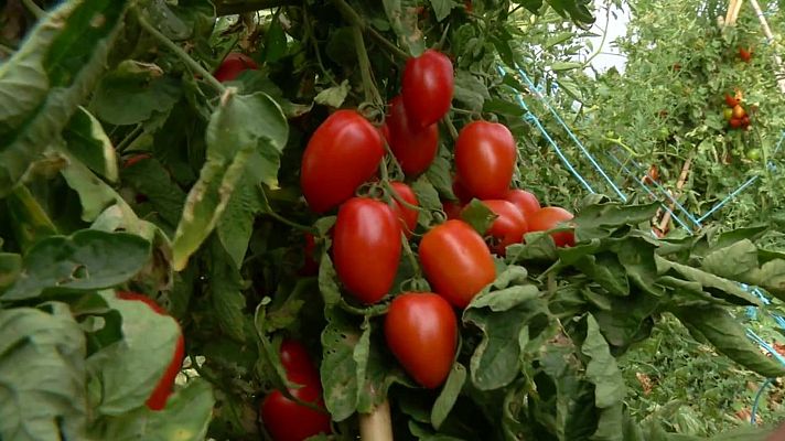 Aquí la Tierra - Aquí la Tierra - 13/08/20